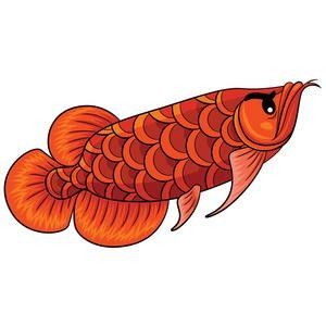 龍魚背景圖片大全高清可愛動漫