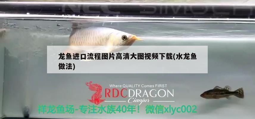 龍魚缸的ph在多少正常值：龍魚蒙眼嚴重的話還能復原嗎