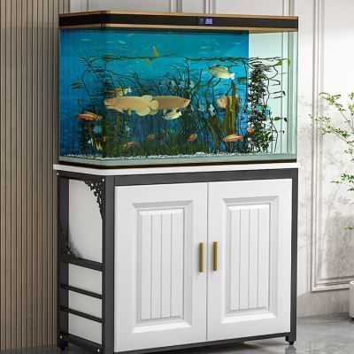 魚缸里的魚老是死是什么原因（如何正確維護(hù)魚缸水質(zhì)）