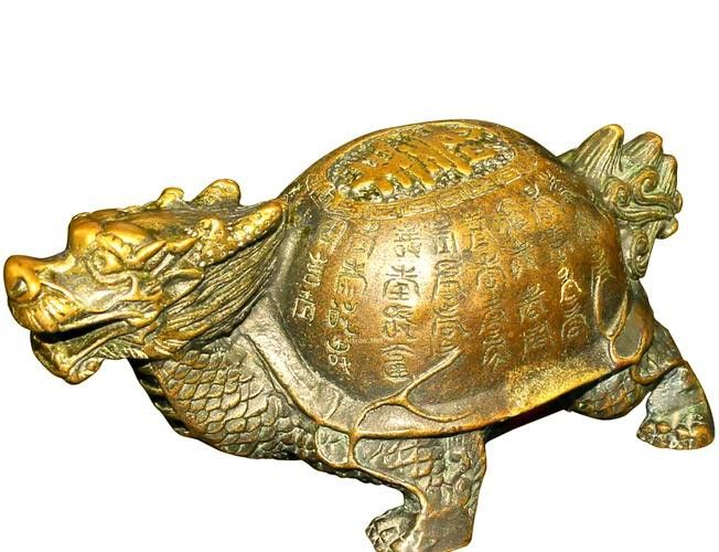 如何判斷龍龜圖片是否專業(yè)拍攝？