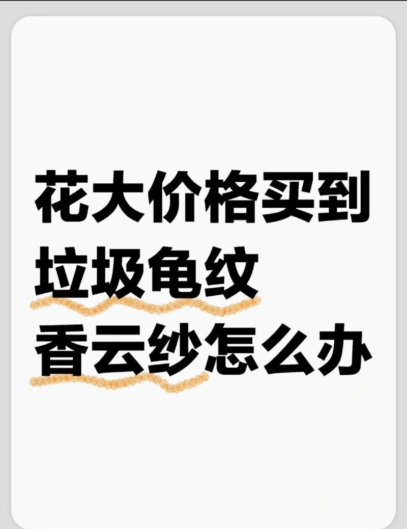 如何判斷龍龜圖片是否專業(yè)拍攝？