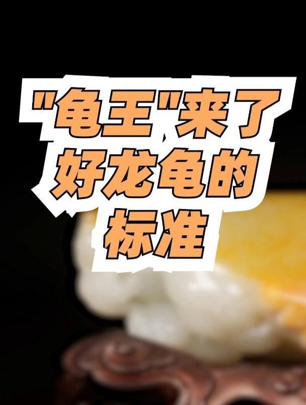 如何判斷龍龜圖片是否專業(yè)拍攝？