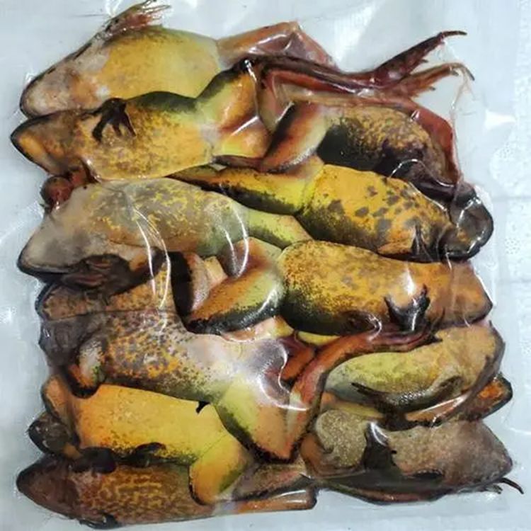 龍魚吃林蛙需要挖內(nèi)臟嗎：喂食龍魚林蛙時，不需要去除內(nèi)臟，龍魚吃林蛙需要挖內(nèi)臟嗎