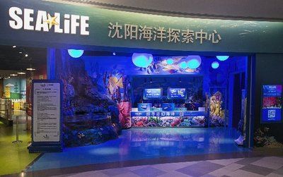 祥龍水族館品牌影響力：祥龍水族館品牌介紹