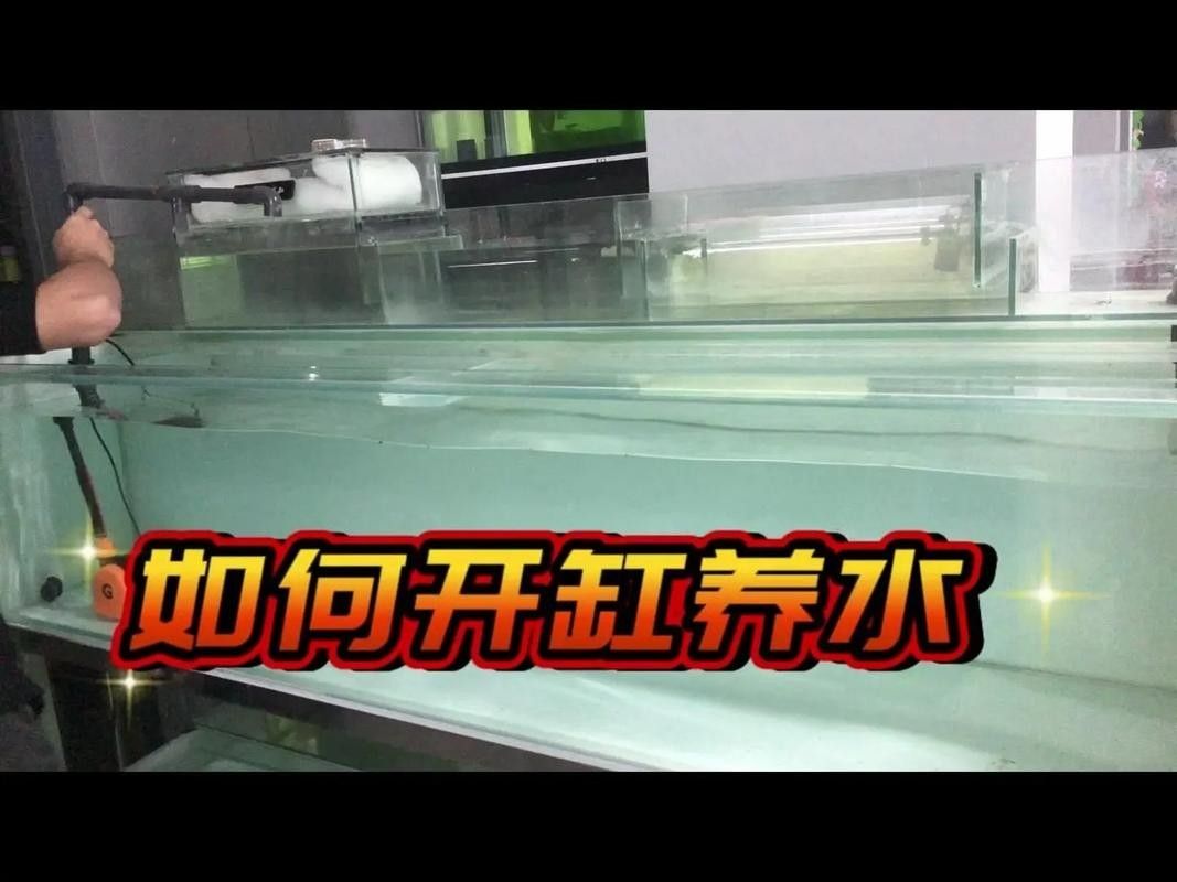龍魚缸水草施肥后需要換水嗎？