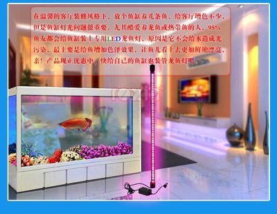 龍魚過濾器材的搭配（如何搭配龍魚過濾器材）