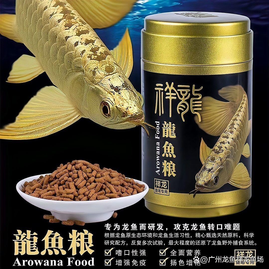 天津龍魚批發市場周三晚上