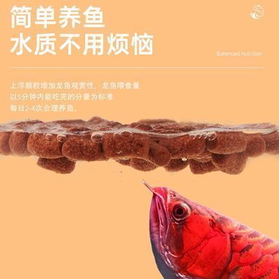 銀龍魚繁殖后水質維護要點：銀龍魚繁殖后水質的維護