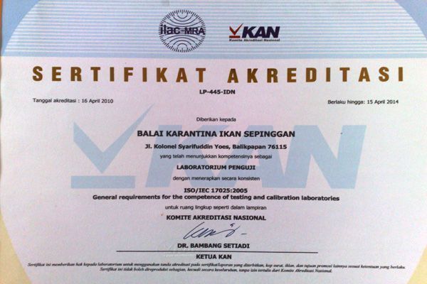 龍魚缸多少度最合適：龍魚麻醉后的護理