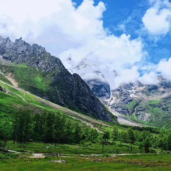 金龍王和銀龍王誰厲害