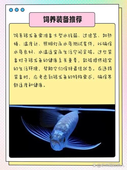 銀龍魚發色過程圖解大全大圖