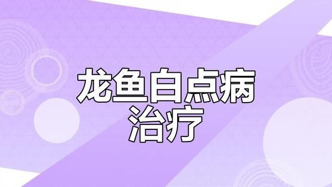龍魚白斑病的癥狀有哪些？