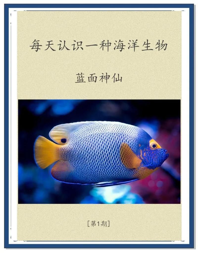 藍面財神魚好看嗎