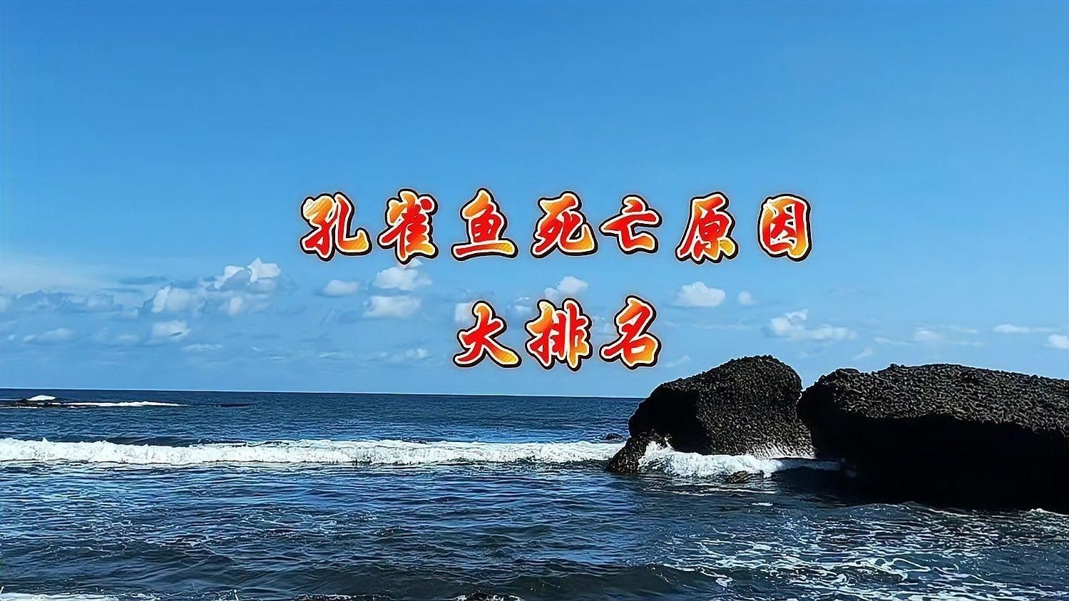 孔雀魚總是死什么原因