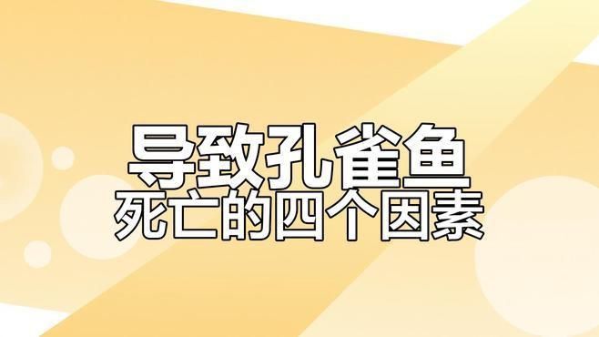 孔雀魚總是死什么原因