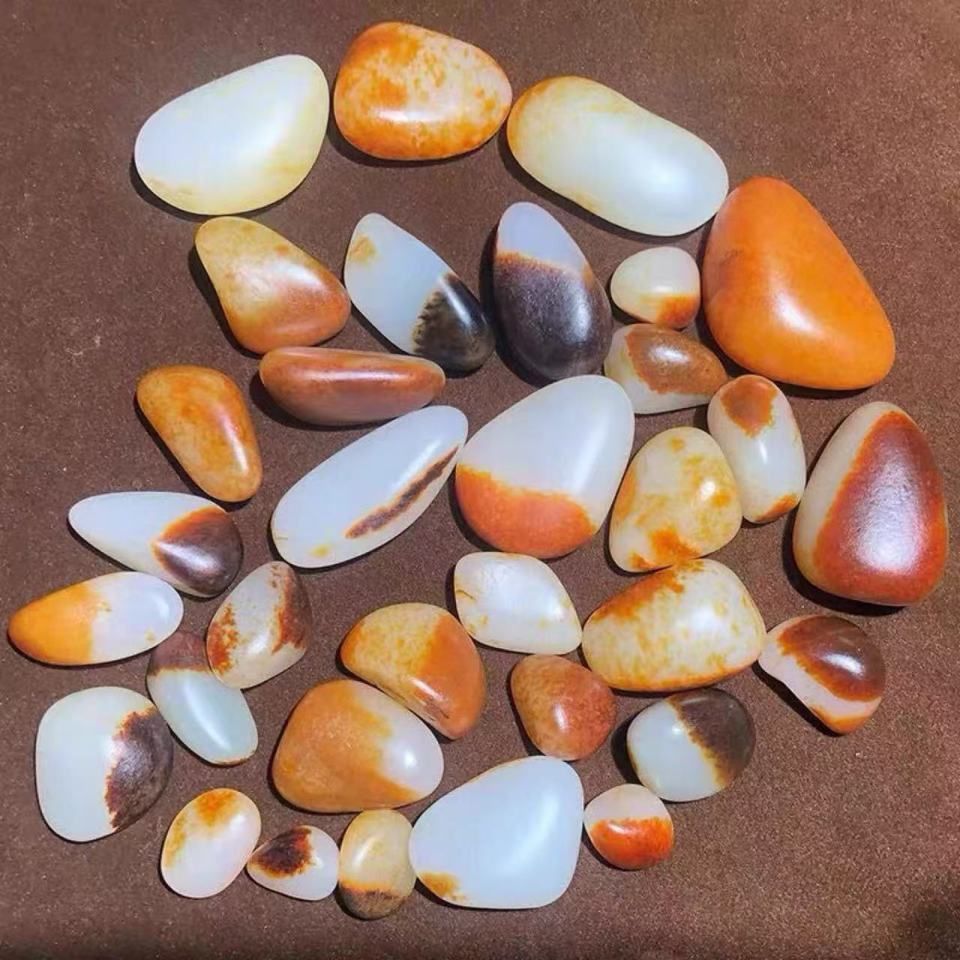 酒紅雷龍魚圖片實拍