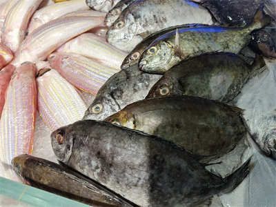 贊美紅龍魚怎么發朋友圈說說