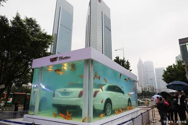 紅龍魚缸背景顏色搭配圖大全圖片（紅龍魚缸背景顏色搭配圖大全圖片欣賞）