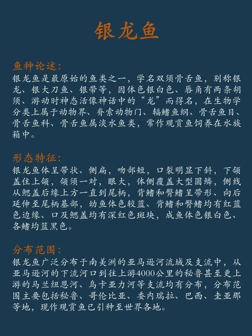 魚缸里養(yǎng)銀龍魚養(yǎng)幾只比較合適圖片視頻