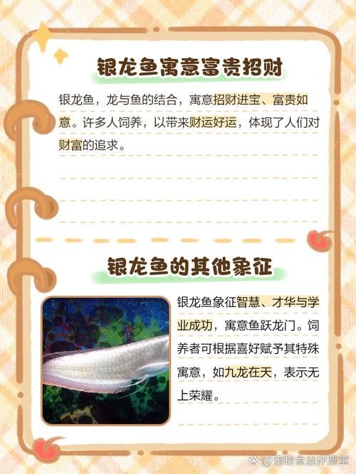 魚缸里養(yǎng)銀龍魚養(yǎng)幾只比較合適圖片視頻