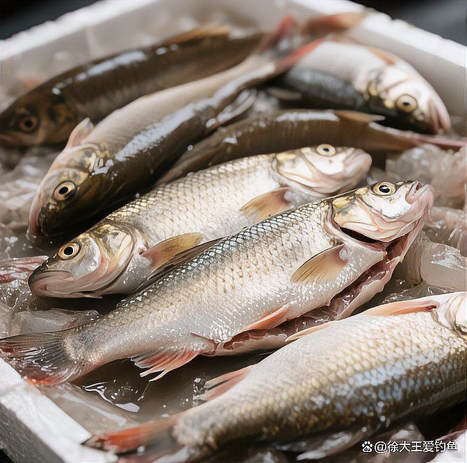 藍帆五間魚盡量少吃