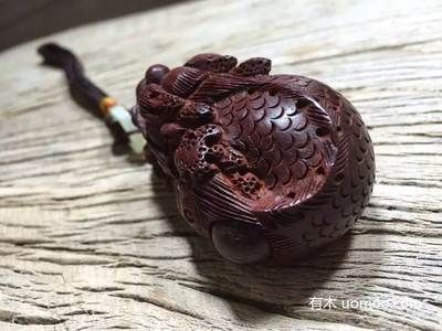 龍魚會吐珠嗎：龍魚會“吐珠”嗎？