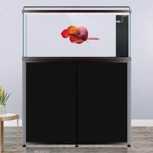 彩蝶龍魚缸有便宜點的嗎多少錢一個：關于彩蝶龍魚缸的問題