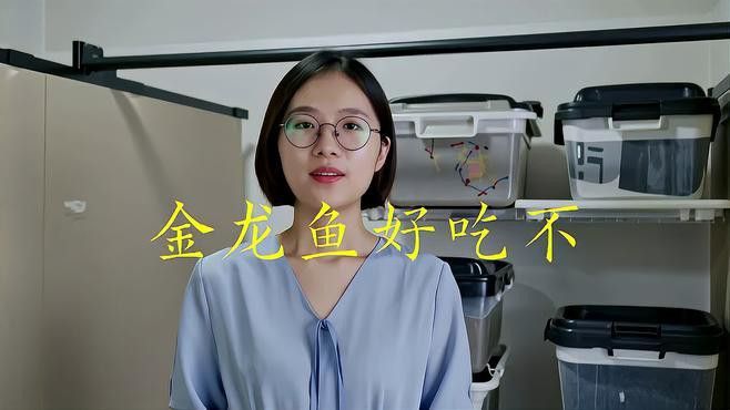 金龍魚清蒸好吃還是紅燒好吃