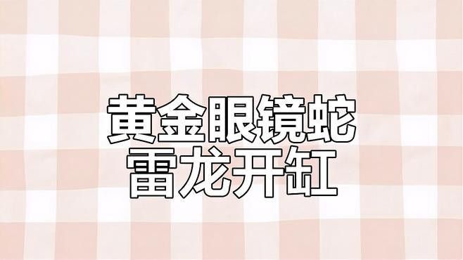 雷龍魚(yú)飼養(yǎng)需要哪些設(shè)備？