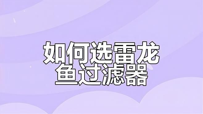 雷龍魚(yú)飼養(yǎng)需要哪些設(shè)備？