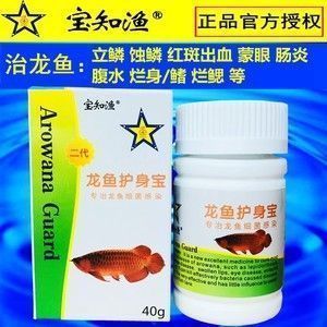 龍魚腸炎會自愈嗎：龍魚腸炎是否能自愈