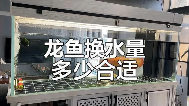 龍魚換水周期是多久？