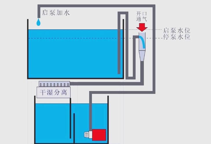 如何選擇合適的魚缸過濾系統？
