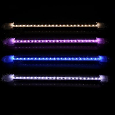 紅龍魚哪個牌子燈最好（什么牌子紅龍魚燈最好）