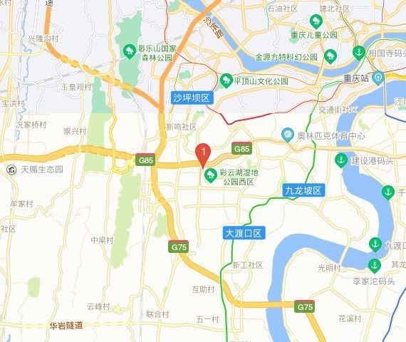 重慶分店的具體地址在哪里？