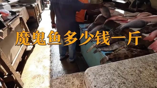 魔鬼魚多少錢一斤