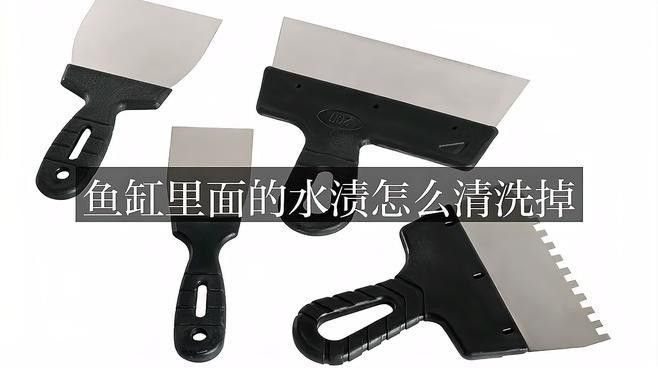 龍魚撞缸后怎么處理干凈