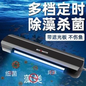 金龍魚兇不兇怎么看品相：金龍魚的兇猛程度與其品相應密切相關的金龍魚品相特點