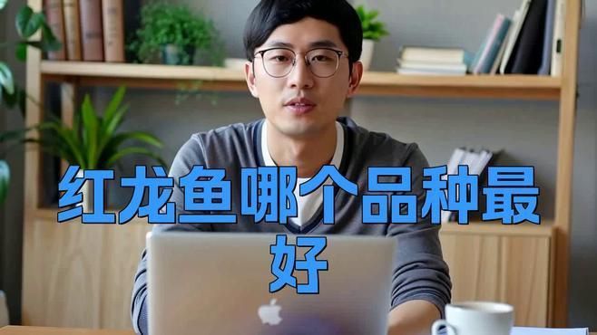 辣椒紅龍好還是血紅龍好