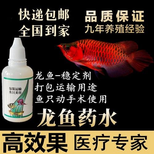 龍魚(yú)麻醉劑哪里買(mǎi)的到