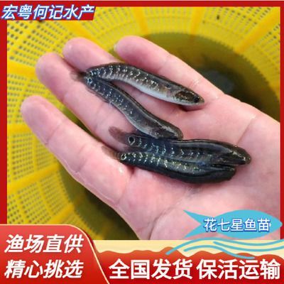 龍魚證書上沒有漁場電話網站（龍魚證書上沒有漁場電話網站怎么辦理？） 龍魚證書上沒有漁場電話網站（龍魚證書上沒有漁場電話網站怎么辦理？） 龍魚百科 第2張