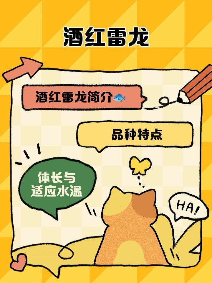 酒紅雷龍魚圖片