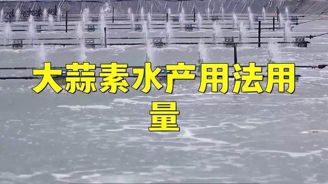 如何給龍魚投喂大蒜素 如何給龍魚投喂大蒜素 龍魚百科 第4張