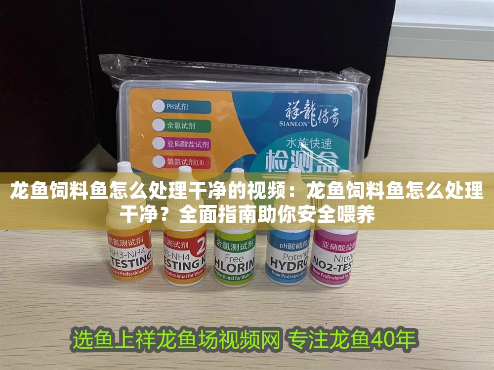 龍魚飼料魚怎么處理干凈的視頻：龍魚飼料魚怎么處理干凈？全面指南助你安全喂養