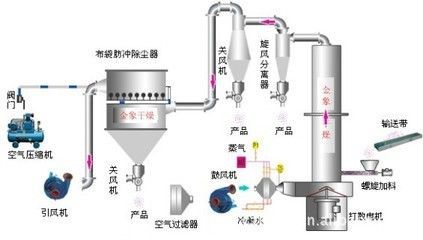 龍魚飼料魚怎么處理干凈的視頻：龍魚飼料魚怎么處理干凈？全面指南助你安全喂養