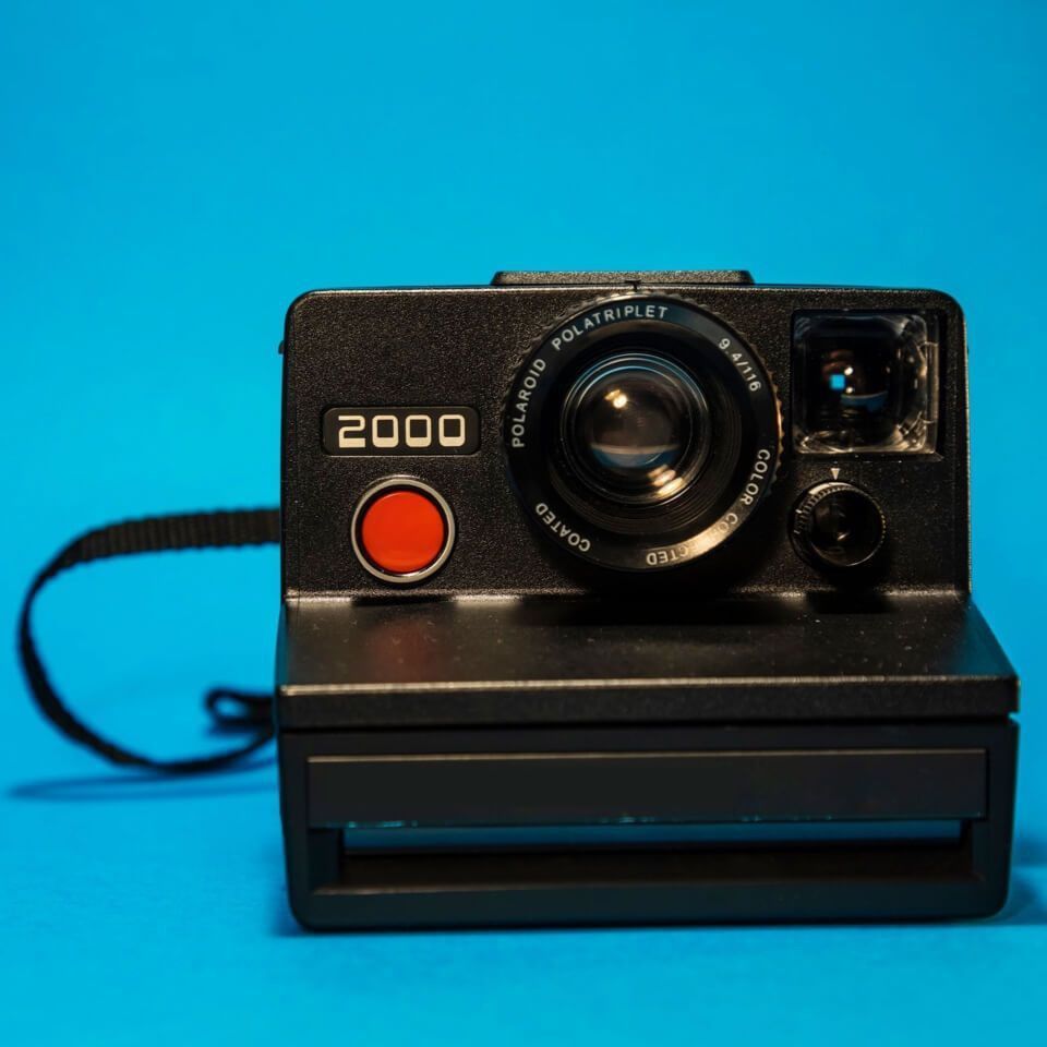 龍魚沉尾自己恢復(fù)嗎