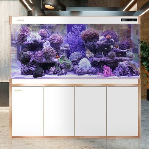 推薦幾款適合龍魚缸的過濾系統