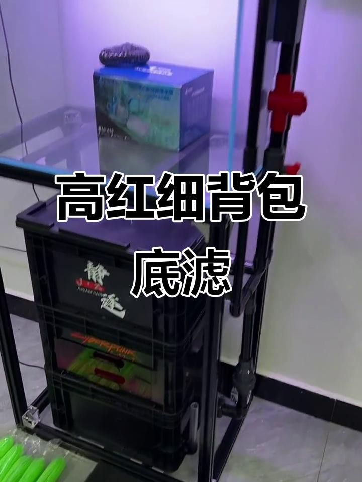 推薦幾款適合龍魚缸的過濾系統