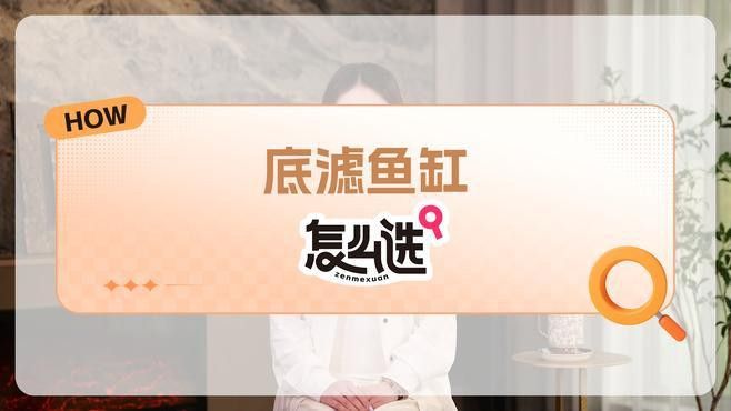 推薦幾款適合龍魚缸的過濾系統