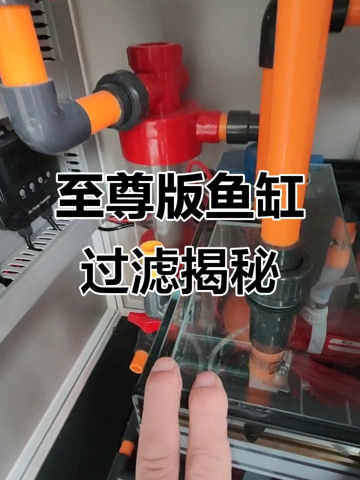 推薦幾款適合龍魚缸的過濾系統